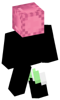 Skinfile
