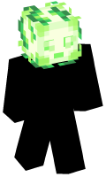 Skinfile