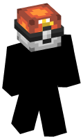 Skinfile