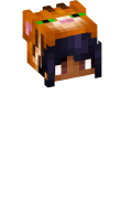 Skinfile