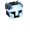 Skinfile