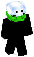 Skinfile