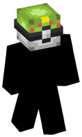 Skinfile