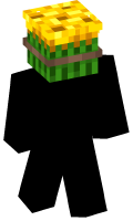 Skinfile