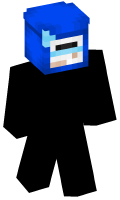 Skinfile