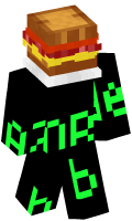Skinfile