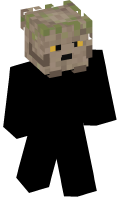 Skinfile