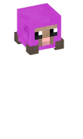 Skinfile