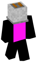 Skinfile
