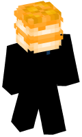 Skinfile
