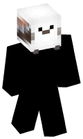 Skinfile