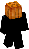Skinfile