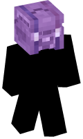 Skinfile
