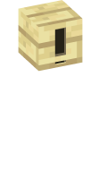 Skinfile