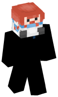 Skinfile