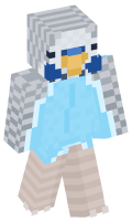 Skinfile
