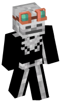Skinfile