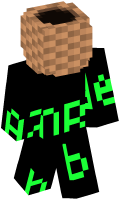 Skinfile