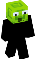 Skinfile