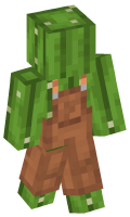 Skinfile