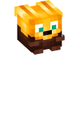 Skinfile