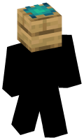 Skinfile