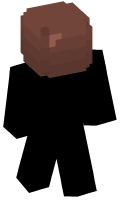 Skinfile