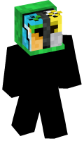 Skinfile