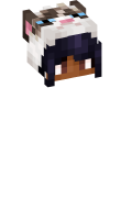 Skinfile