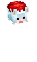 Skinfile
