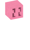 Skinfile