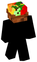 Skinfile