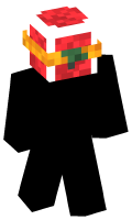 Skinfile