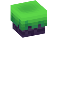 Skinfile