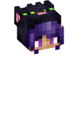 Skinfile