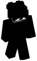 Skinfile