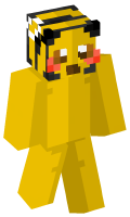 Skinfile