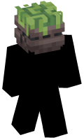 Skinfile