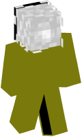 Skinfile