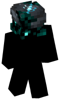 Skinfile