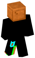 Skinfile