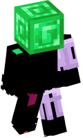 Skinfile