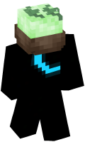 Skinfile
