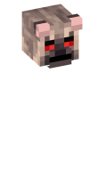 Skinfile