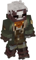 Skinfile
