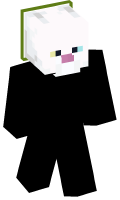 Skinfile