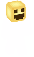 Skinfile