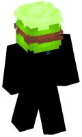 Skinfile