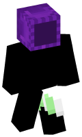Skinfile