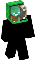 Skinfile